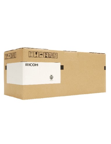 RICOH INK Colerctor de tinta residual IC 51