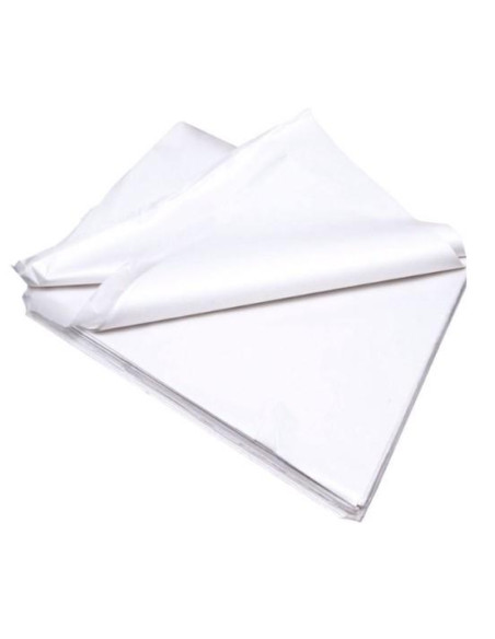PAPEL MANILA BLANCO POR HOJA 62X86 CM REF. PMABLANC CSUR 5651 (25)
