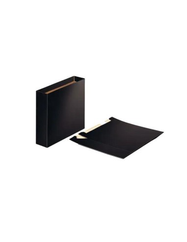 CAJA ARCHIVADOR FOLIO ESSELTE 624149