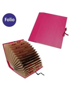 CLASIFICADOR ACORDEON AZ/1-31 FOLIO BURDEOS DOHE 10261