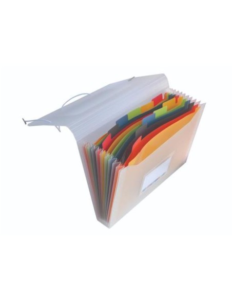 CLASIFICADOR 12 DIVISIONES C/GOMAS VITAL COLORS HFP 41118