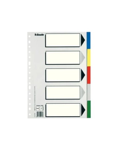 SEPARADORES  5 COLORES PLASTICO  FOLIO ESSELTE 11609 (100)