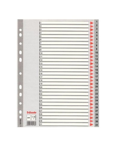 SEPARADOR NUMERICO DEL 1-31 PLASTICO  A4 ESSELTE  49210 (25)