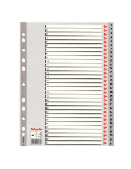 SEPARADOR NUMERICO DEL 1-31 PLASTICO  A4 ESSELTE  49210 (25)