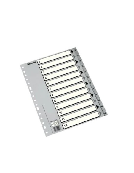 SEPARADOR INDICE NUMERICO 1 AL 12 ESSELTE A4  49209