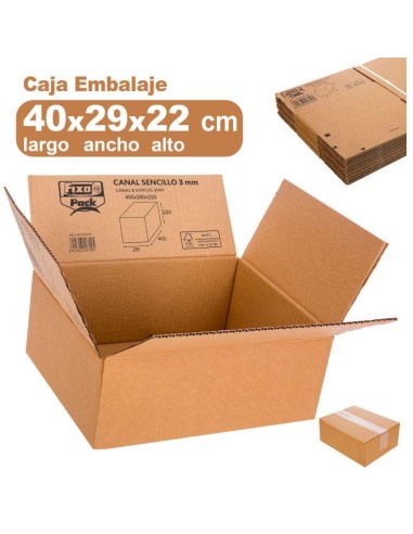 CAJA DE CARTON 400X290X220  GRAFOPLAS   Nº 297 0018105