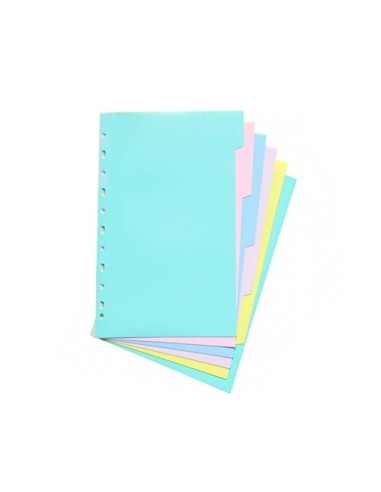 SEPARADORES POLIPROPILENO COLORES SOFT PASTEL EXTRA FUERTES 6 POSICIONES CARCHIVO 49060699