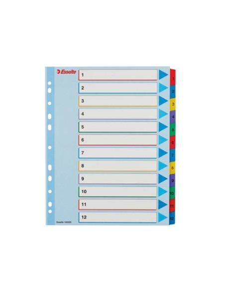 SEPARADOR 1 AL 12 BORRA Y REESCRIBE ESSELTE 100209