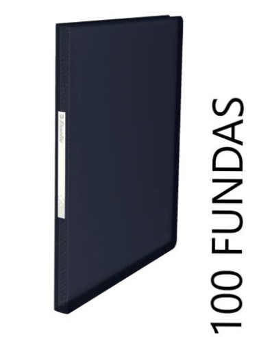 CARPETA DE FUNDAS 100H  FLEXIBLES ESSELTE 624008