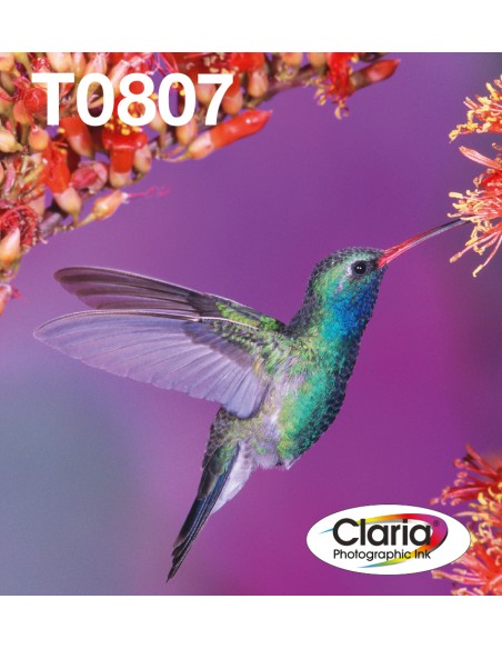 EPSON T080 Hummingbird multipack in Easy Mail packaging