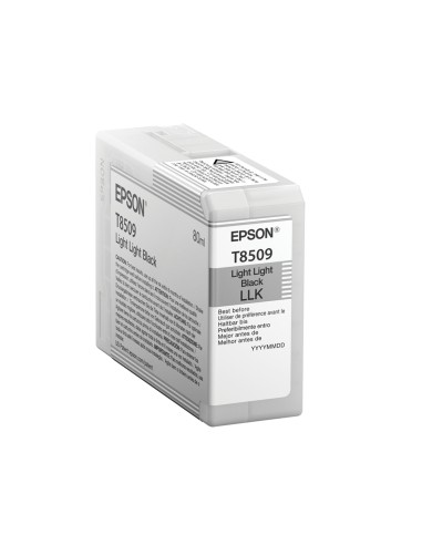 EPSON SureColor SC-P800 Cartucho Negro Light Light